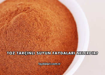 Toz Tarçınlı Suyun Faydaları Nelerdir?
