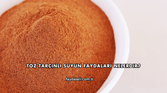 Toz Tarçınlı Suyun Faydaları Nelerdir?