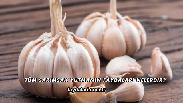 Tüm Sarımsak Yutmanın Faydaları Nelerdir?