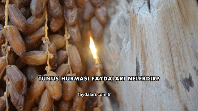 Tunus Hurması Faydaları Nelerdir?