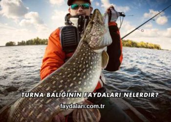 Turna Balığının Faydaları Nelerdir?