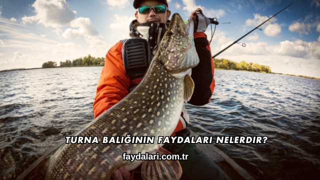 Turna Balığının Faydaları Nelerdir?