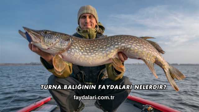 Turna Balığının Faydaları Nelerdir?