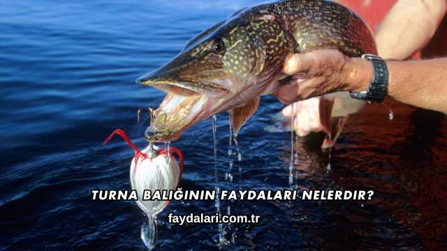 Turna Balığının Faydaları Nelerdir?