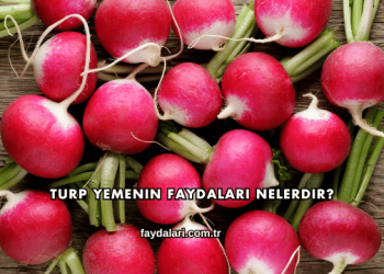 Turp Yemenin Faydaları Nelerdir?