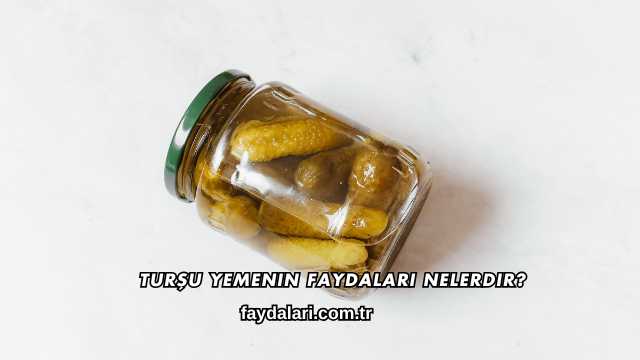 Turşu Yemenin Faydaları Nelerdir?