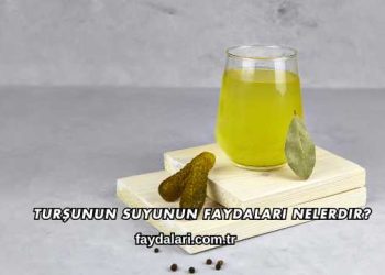 Turşunun Suyunun Faydaları Nelerdir?