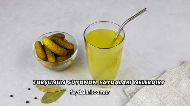 Turşunun Suyunun Faydaları Nelerdir?