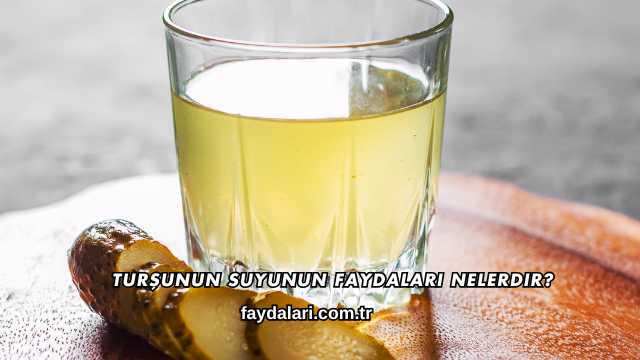 Turşunun Suyunun Faydaları Nelerdir?