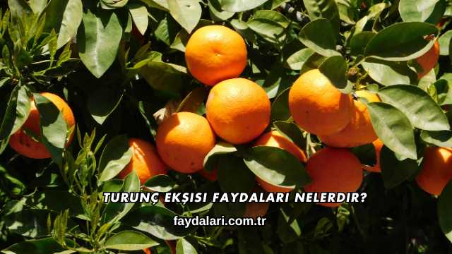 Turunç Ekşisi Faydaları Nelerdir?