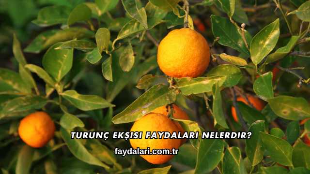 Turunç Ekşisi Faydaları Nelerdir?