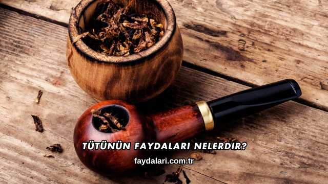 Tütünün Faydaları Nelerdir?