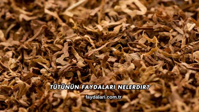 Tütünün Faydaları Nelerdir?