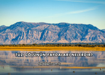 Tuz Gölünün Faydaları Nelerdir?