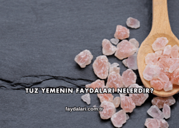 Tuz Yemenin Faydaları Nelerdir?