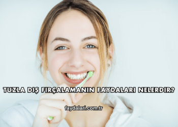 Tuzla Diş Fırçalamanın Faydaları Nelerdir?