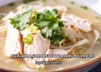Tuzlama Çorbası Faydaları Nelerdir?