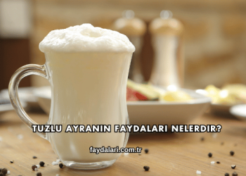 Tuzlu Ayranın Faydaları Nelerdir?