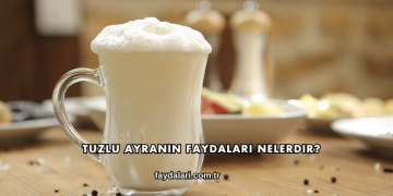 Tuzlu Ayranın Faydaları Nelerdir?