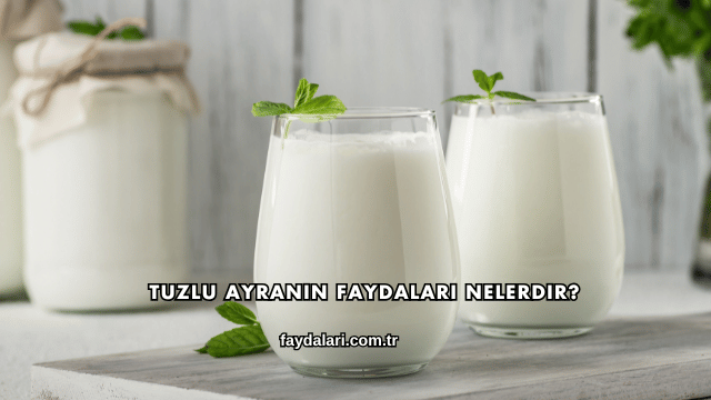 Tuzlu Ayranın Faydaları Nelerdir?