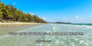 Tuzlu Deniz Suyunun Cilde Faydaları Nelerdir?