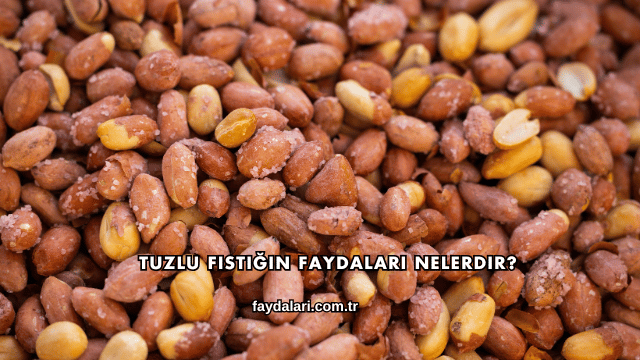 Tuzlu Fıstığın Faydaları Nelerdir?