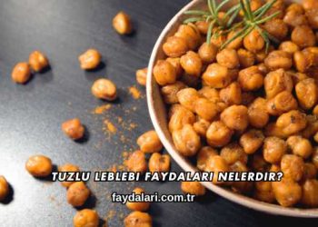 Tuzlu Leblebi Faydaları Nelerdir?