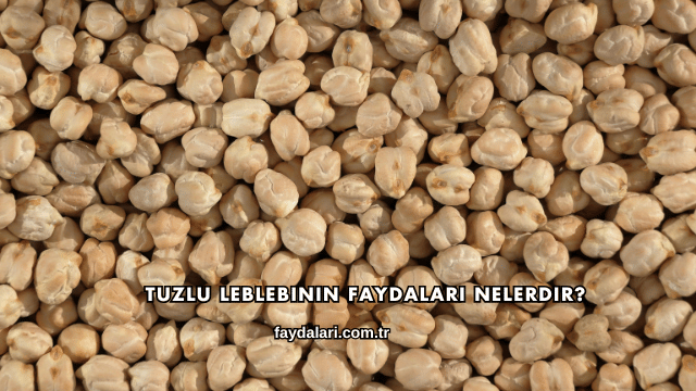 Tuzlu Leblebinin Faydaları Nelerdir?