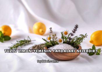 Tuzlu Limon Yemenin Faydaları Nelerdir?