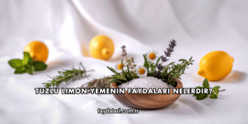 Tuzlu Limon Yemenin Faydaları Nelerdir?