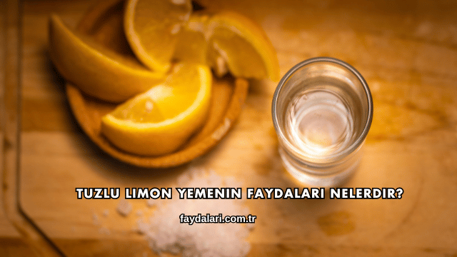 Tuzlu Limon Yemenin Faydaları Nelerdir?