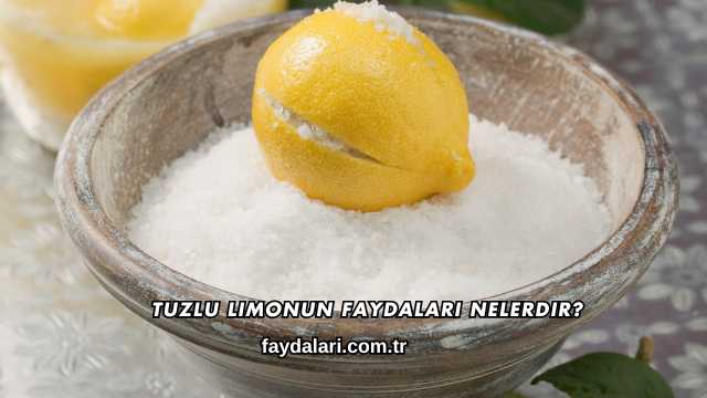 Tuzlu Limonun Faydaları Nelerdir?