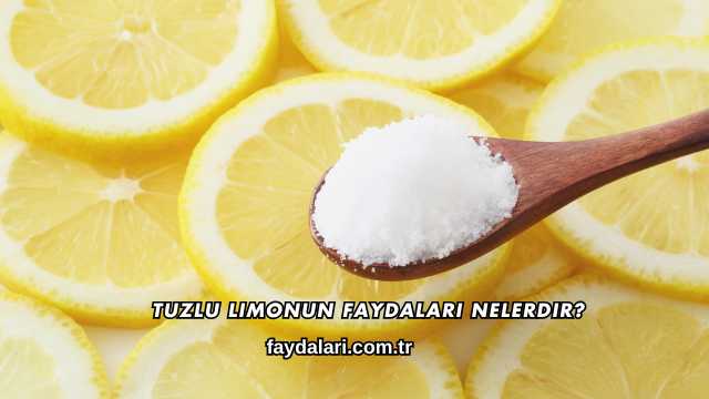 Tuzlu Limonun Faydaları Nelerdir?