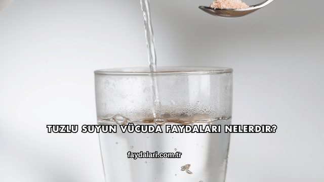 Tuzlu Suyun Vücuda Faydaları Nelerdir?