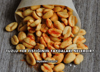 Tuzlu Yer Fıstığının Faydaları Nelerdir?