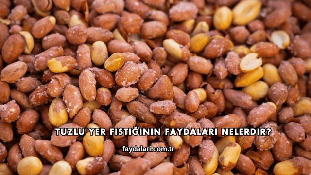 Tuzlu Yer Fıstığının Faydaları Nelerdir?