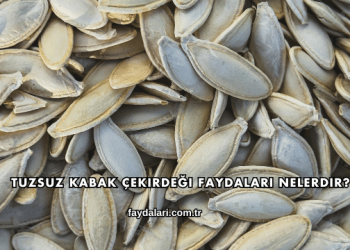Tuzsuz Kabak Çekirdeği Faydaları Nelerdir?