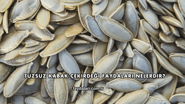 Tuzsuz Kabak Çekirdeği Faydaları Nelerdir?