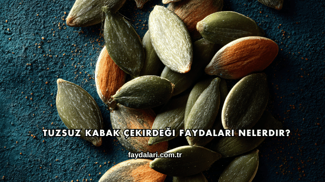 Tuzsuz Kabak Çekirdeği Faydaları Nelerdir?
