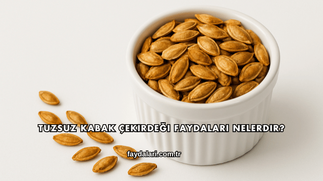 Tuzsuz Kabak Çekirdeği Faydaları Nelerdir?
