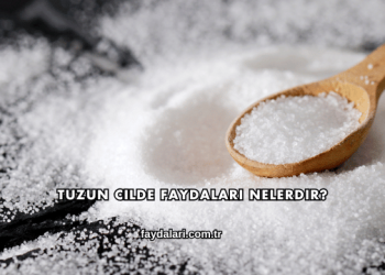 Tuzun Cilde Faydaları Nelerdir?