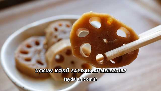 Uçkun Kökü Faydaları Nelerdir?