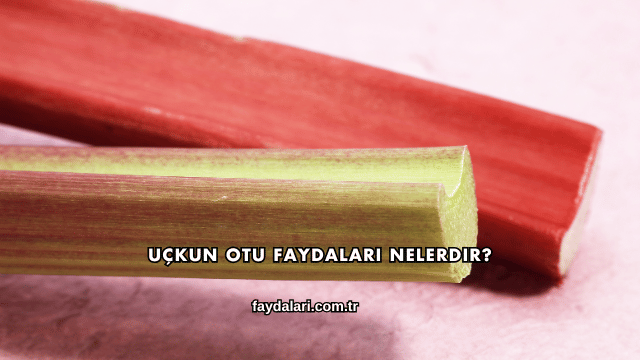 Uçkun Otu Faydaları Nelerdir?