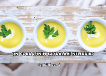 Un Çorbasının Faydaları Nelerdir?