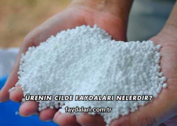 Ürenin Cilde Faydaları Nelerdir?