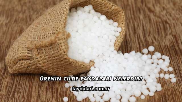 Ürenin Cilde Faydaları Nelerdir?