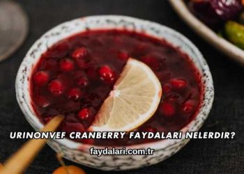 Urinonvef Cranberry Faydaları Nelerdir?