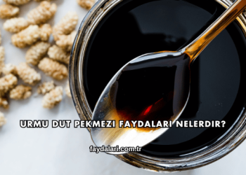 Urmu Dut Pekmezi Faydaları Nelerdir?