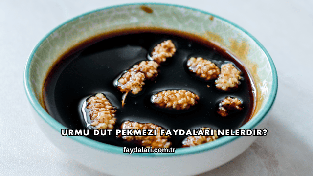 Urmu Dut Pekmezi Faydaları Nelerdir?