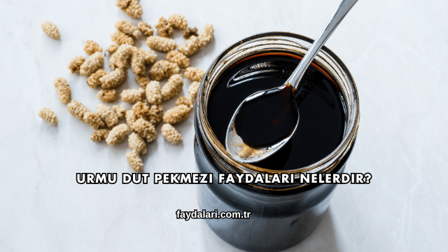 Urmu Dut Pekmezi Faydaları Nelerdir?